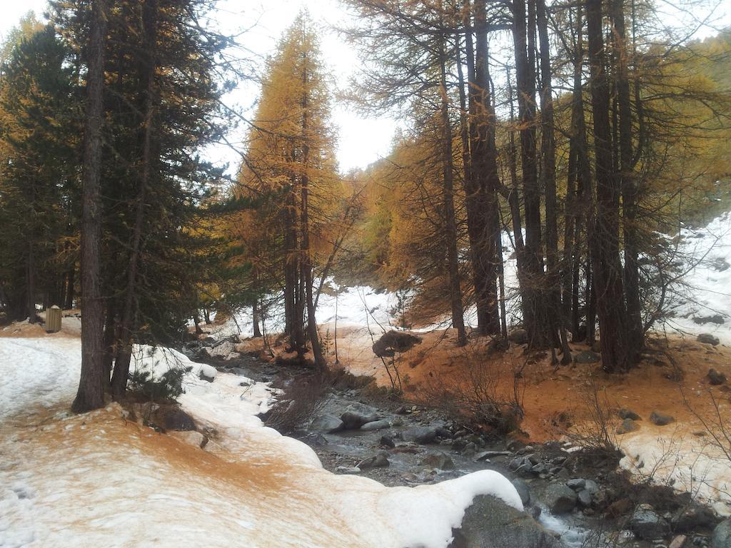 Chalet Rin da Pemont Livigno Buitenkant foto